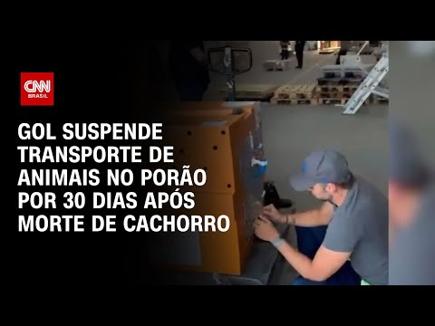 Gol suspende transporte de animais no porão por 30 dias após morte de cachorro | CNN NOVO DIA