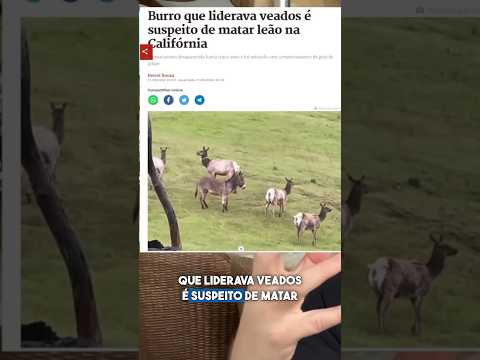 O Burro e os Veados #shorts