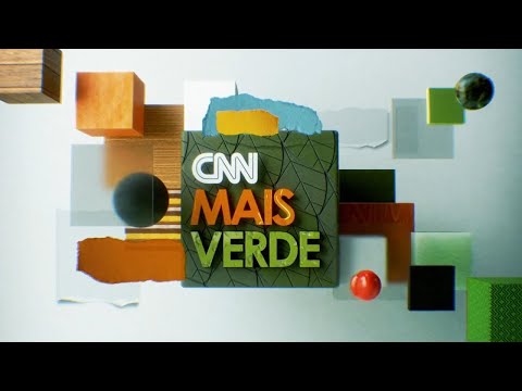 CNN Mais Verde: empresa de SP cria móveis sustentáveis usando papelão | CNN NOVO DIA