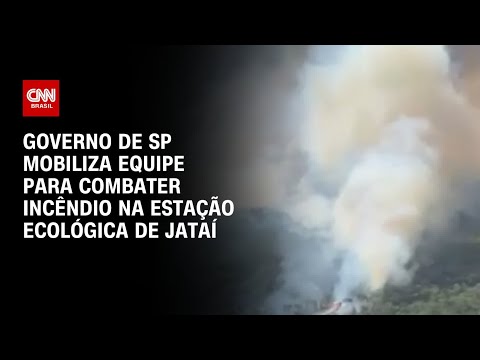 Governo de SP mobiliza equipe para combater incêndio na Estação Ecológica de Jataí | CNN PRIME TIME